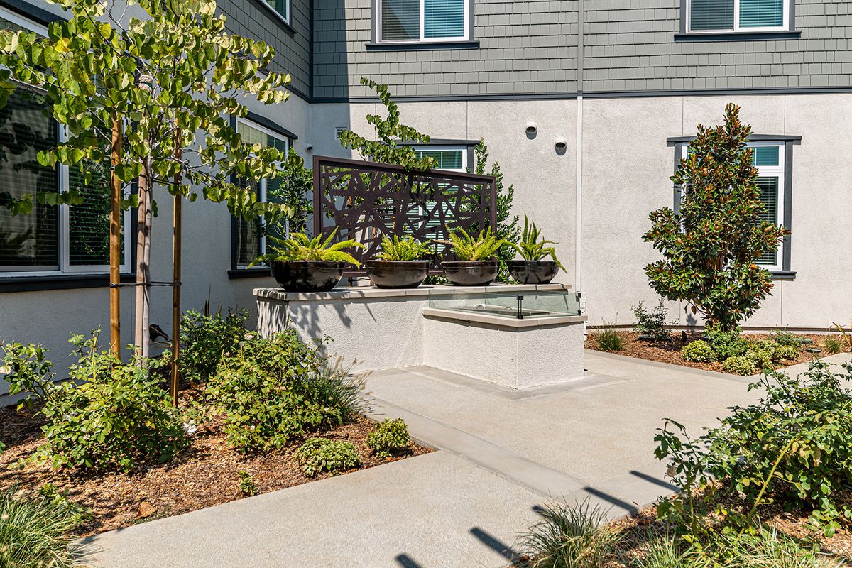 A modern outdoor garden space with plants and a small patio area.