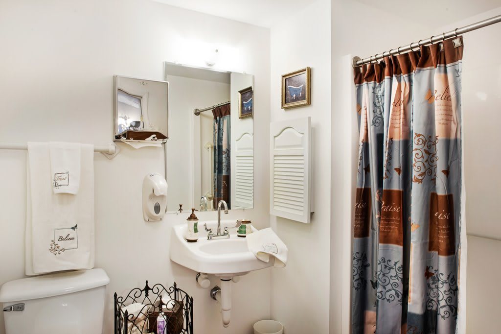 A cozy bathroom featuring a sink with a mirror above, decorated with a patterned shower curtain and neatly organized toiletries.