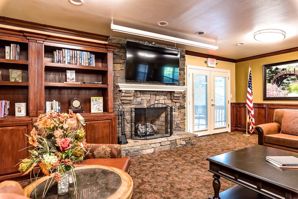 Cozy living room with a fireplace, television, and bookshelves.