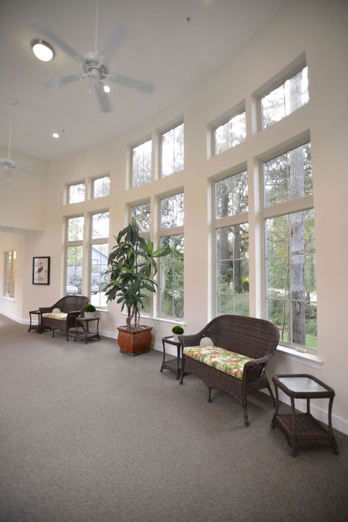 A well-lit waiting area with large windows, benches, and an indoor plant.