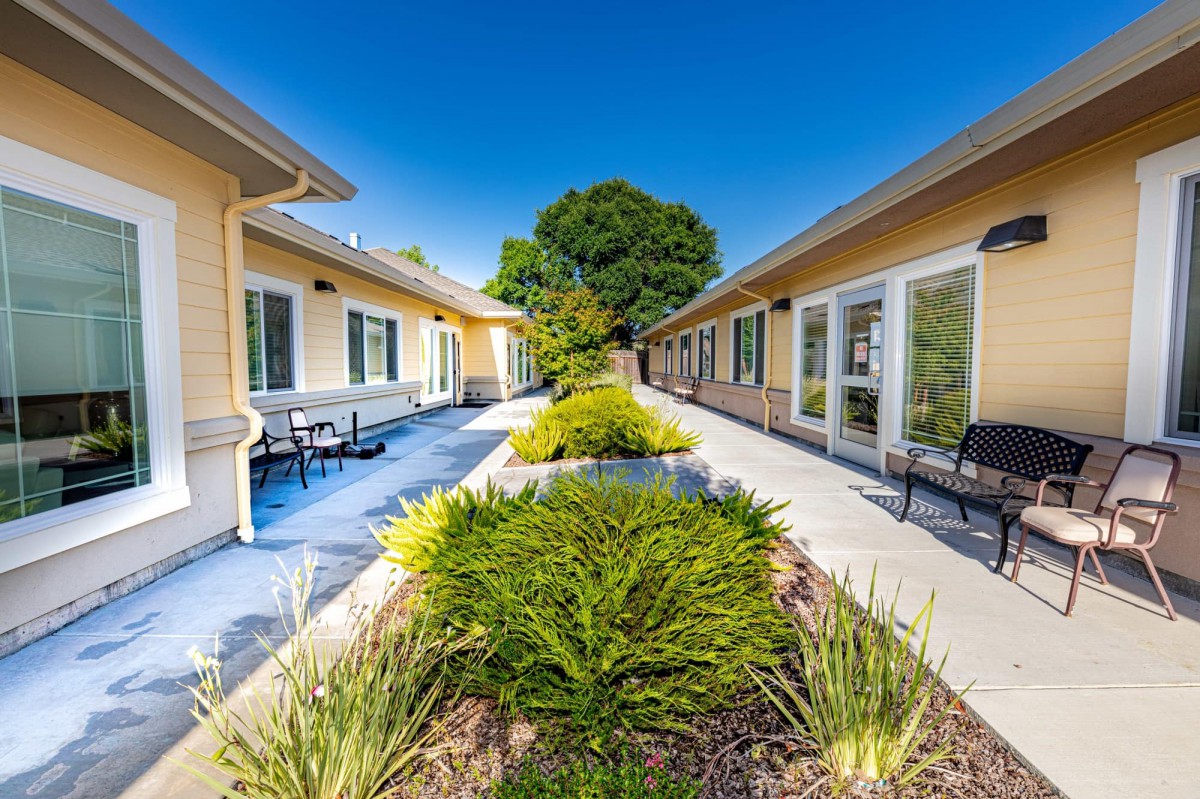 A sunny courtyard between two buildings with a pathway and plants.