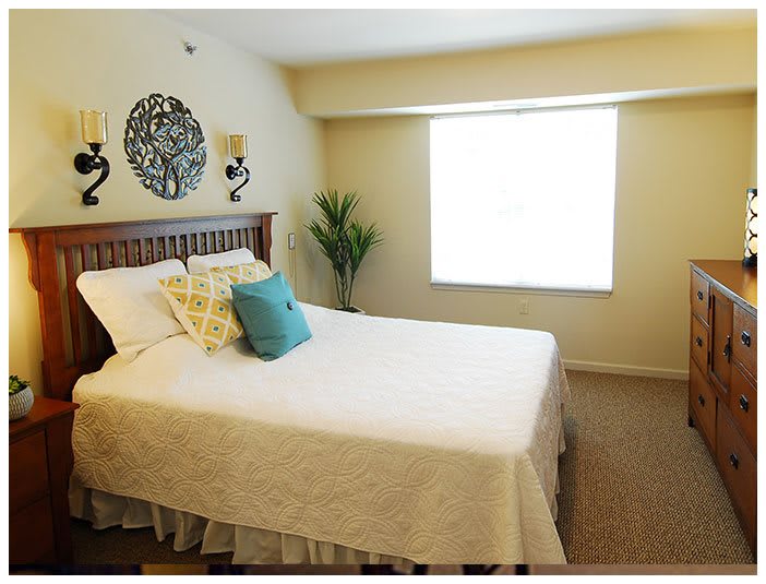 A cozy bedroom with a neatly made bed, decorative pillows, wall art, and a plant by the window.