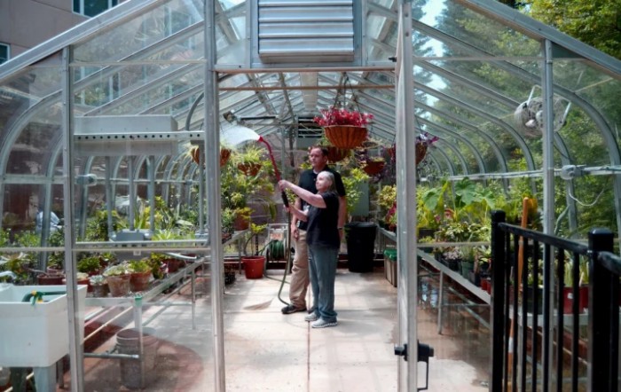 Two people tending to plants in a greenhouse.