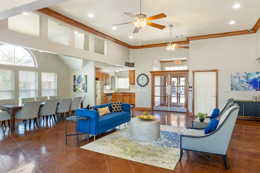 A stylish and modern living room featuring a blue sofa, wooden accents, and plenty of natural light.