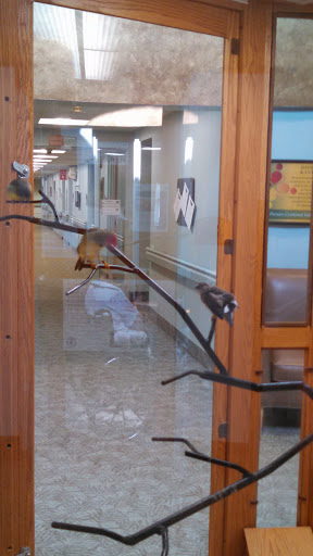 A decorative branch with birds on a glass door in an interior hallway.