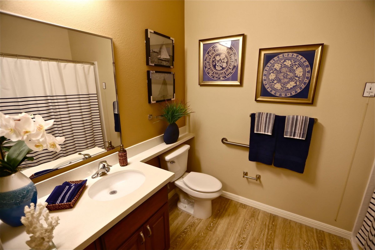 A well-decorated bathroom featuring a sink, toilet, and decorative art on the walls.
