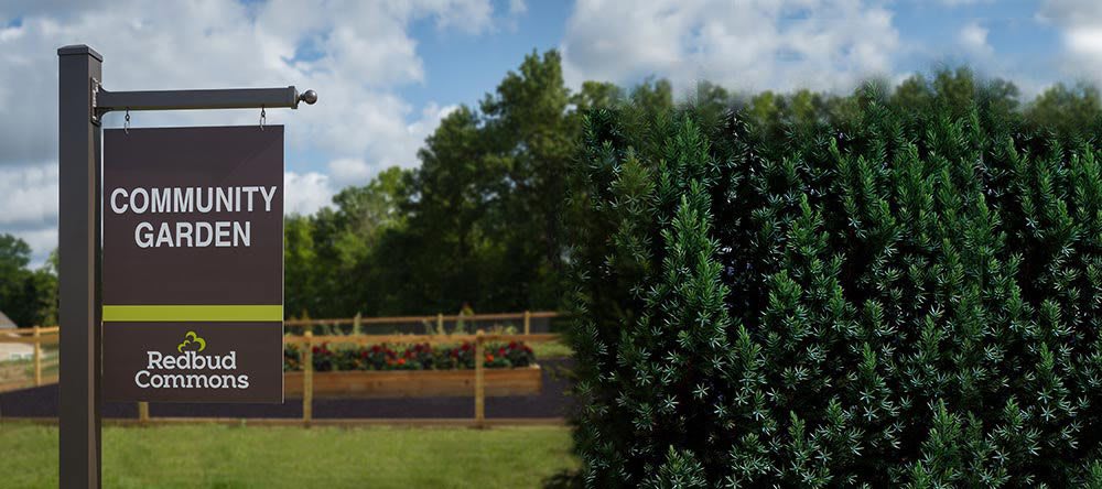 A serene garden landscape featuring a wooden fence and lush greenery.
