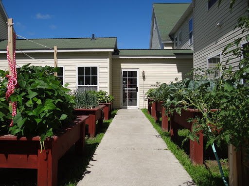 A well-maintained garden featuring raised vegetable beds alongside a paved pathway leading to a house, under a clear blue sky.
