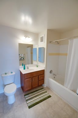A clean and modern bathroom featuring a sink with a mirror, toilet, bathtub with shower curtain, and decorative elements like towels and a striped rug.