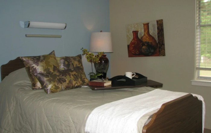 A cozy bedroom with decorative pillows, a bedside lamp, and artwork on the wall.