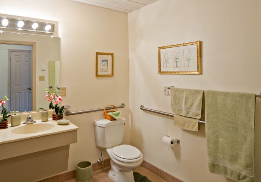 A well-decorated bathroom with accessible features and green accents.