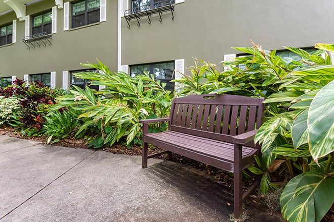A wooden bench placed alongside a garden path with lush greenery in front of a building.