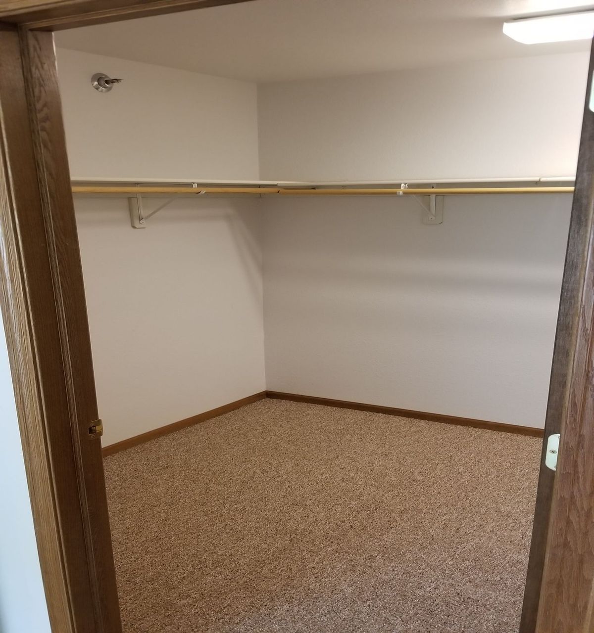 An empty walk-in closet with shelving and a carpeted floor.