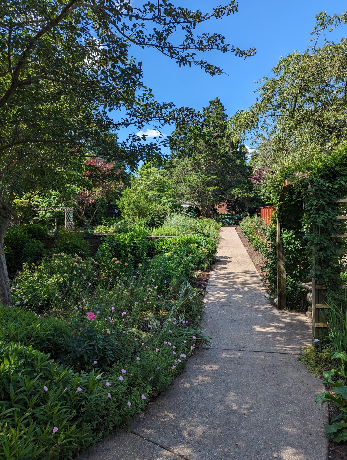 Ashland Terrace