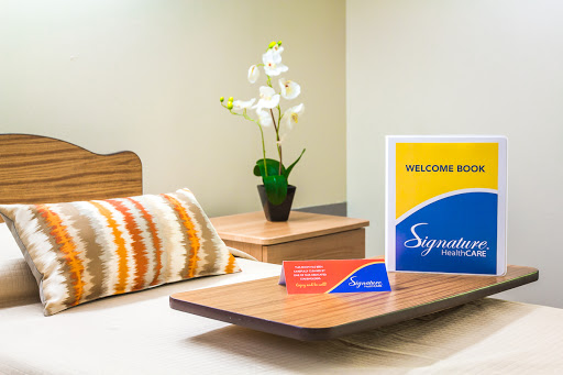 A cozy and welcoming room with vibrant decor and a touch of nature.