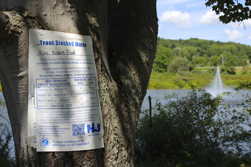 A sign affixed to a tree near a tranquil body of water, surrounded by lush greenery.