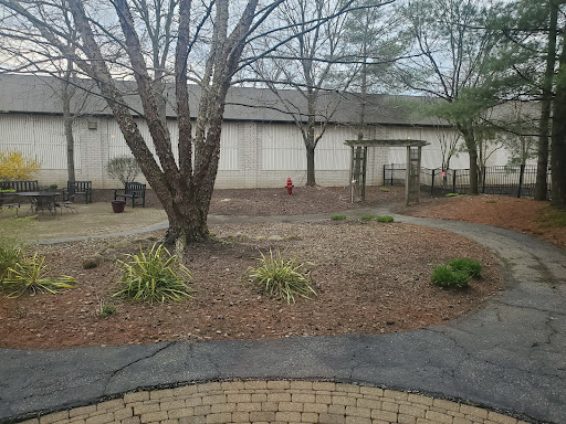 A tranquil outdoor space featuring a tree and a winding pathway.