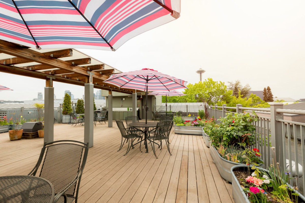 A rooftop patio with tables, chairs, and colorful umbrellas surrounded by greenery.