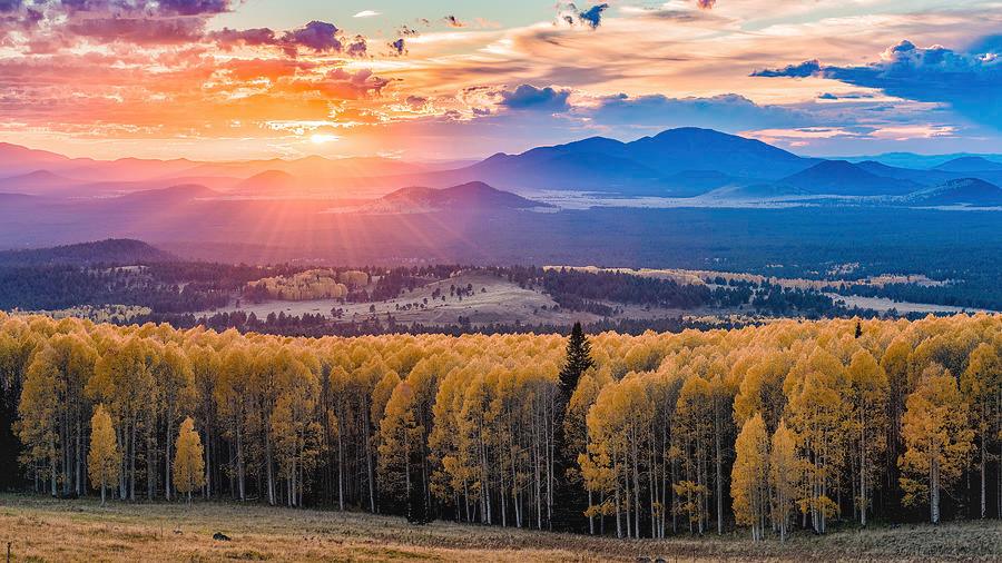 A breathtaking sunset over a forest of golden autumn trees with mountains in the background.