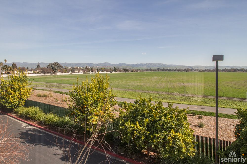 A scenic view of fields with trees in the foreground and mountains in the distance under a clear blue sky.