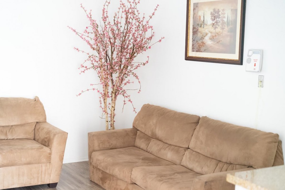 A cozy living room featuring a beige sofa, armchair, artwork on the wall, and a decorative vase with pink flowering branches.