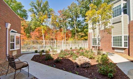 A serene residential garden showcasing vibrant autumn foliage and a well-maintained pathway.