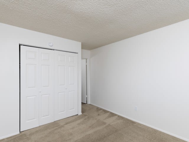 An empty room with white walls, a carpeted floor, and a closet.