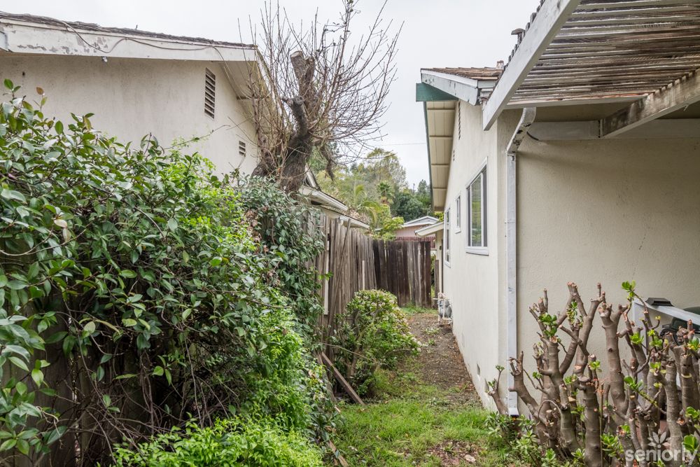 A narrow alley between two houses with bushes and a wooden fence.