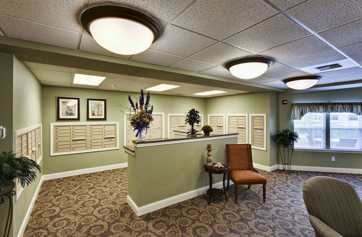 A well-lit office lobby featuring a reception desk, decorative plants, and comfortable seating.