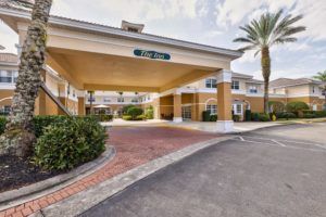 A building entrance with a covered driveway and landscaped surroundings featuring a palm tree.