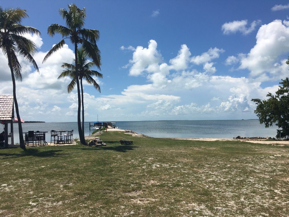 A serene beach with palm trees overlooking a calm ocean under a blue sky with fluffy clouds.