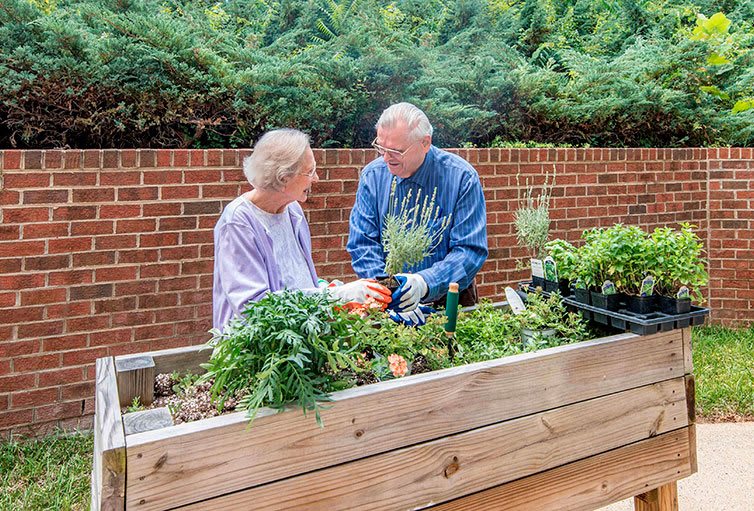 An elderly couple enjoys gardening together in a raised garden bed, surrounded by lush plants and vegetables.