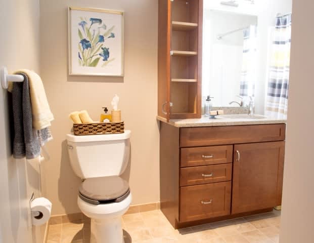 A well-organized bathroom with a toilet, wooden cabinet with sink, wall art, and neatly arranged toiletries.