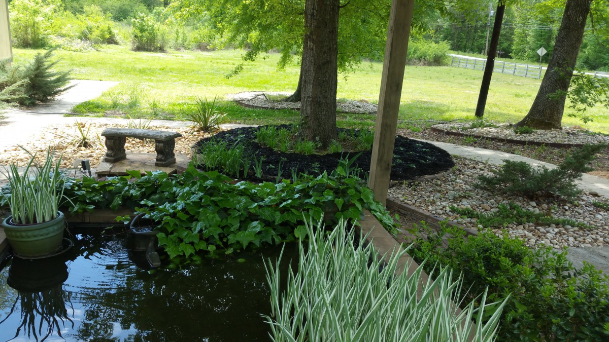 A tranquil garden scene featuring a pond surrounded by lush greenery and trees.