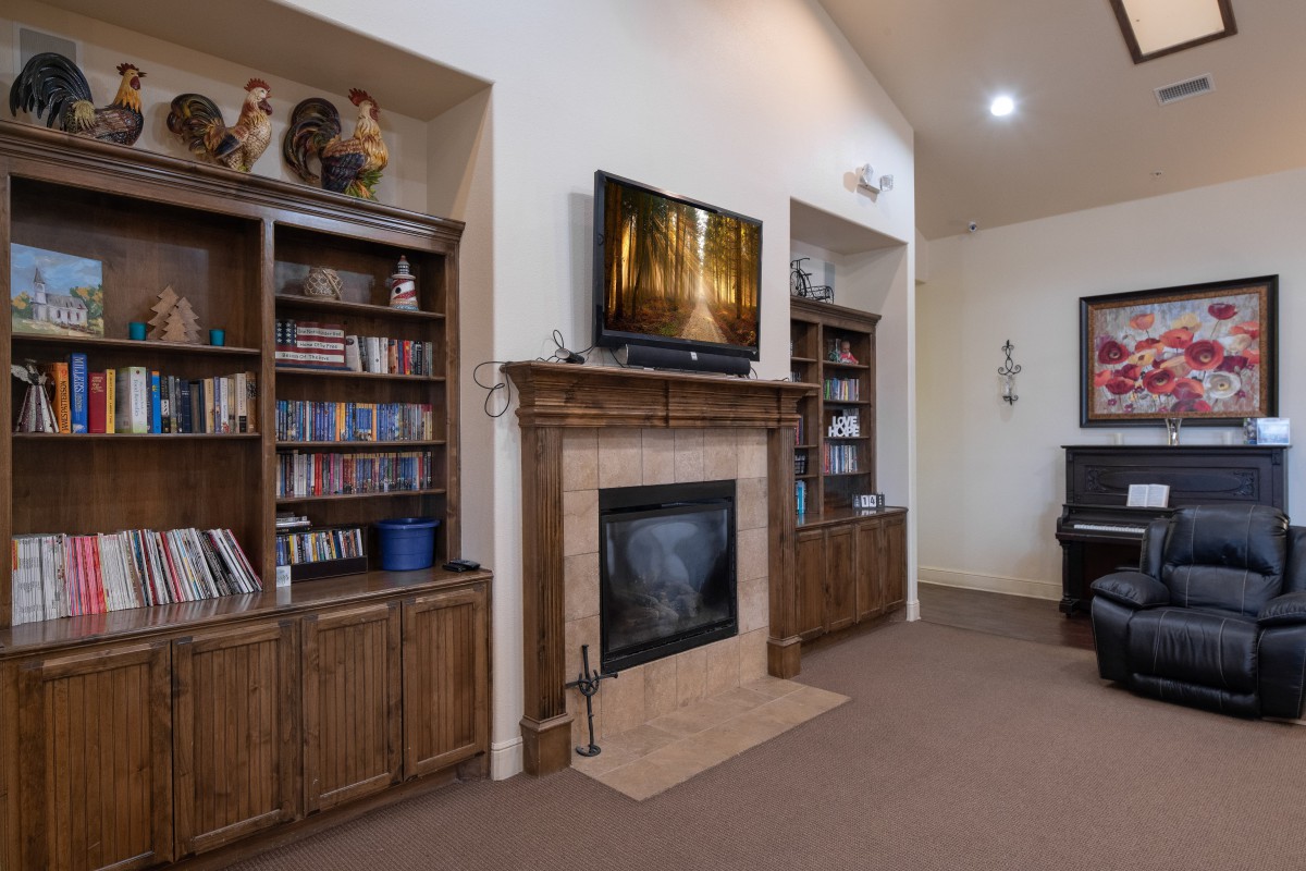 A cozy living room with a fireplace, TV, and bookshelves.