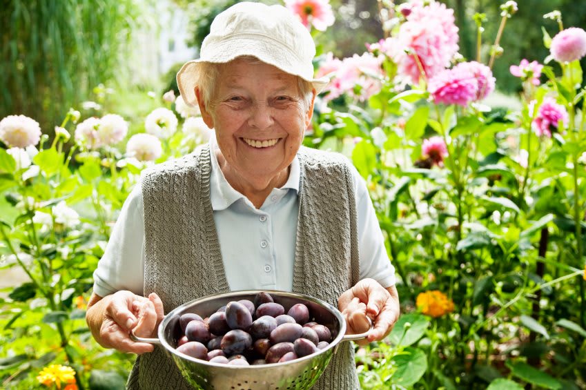 4 Seasons Home Care - Marietta