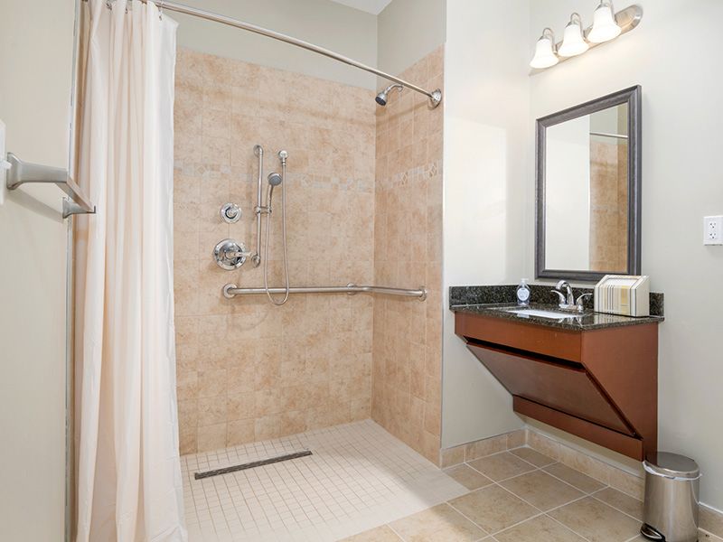Accessible bathroom with a walk-in shower and modern sink.
