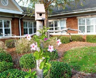 The Palmettos of Mauldin