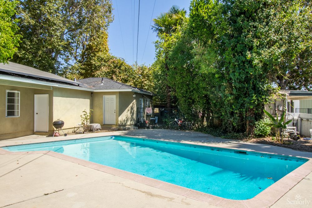 A serene backyard with a swimming pool surrounded by trees on a sunny day.