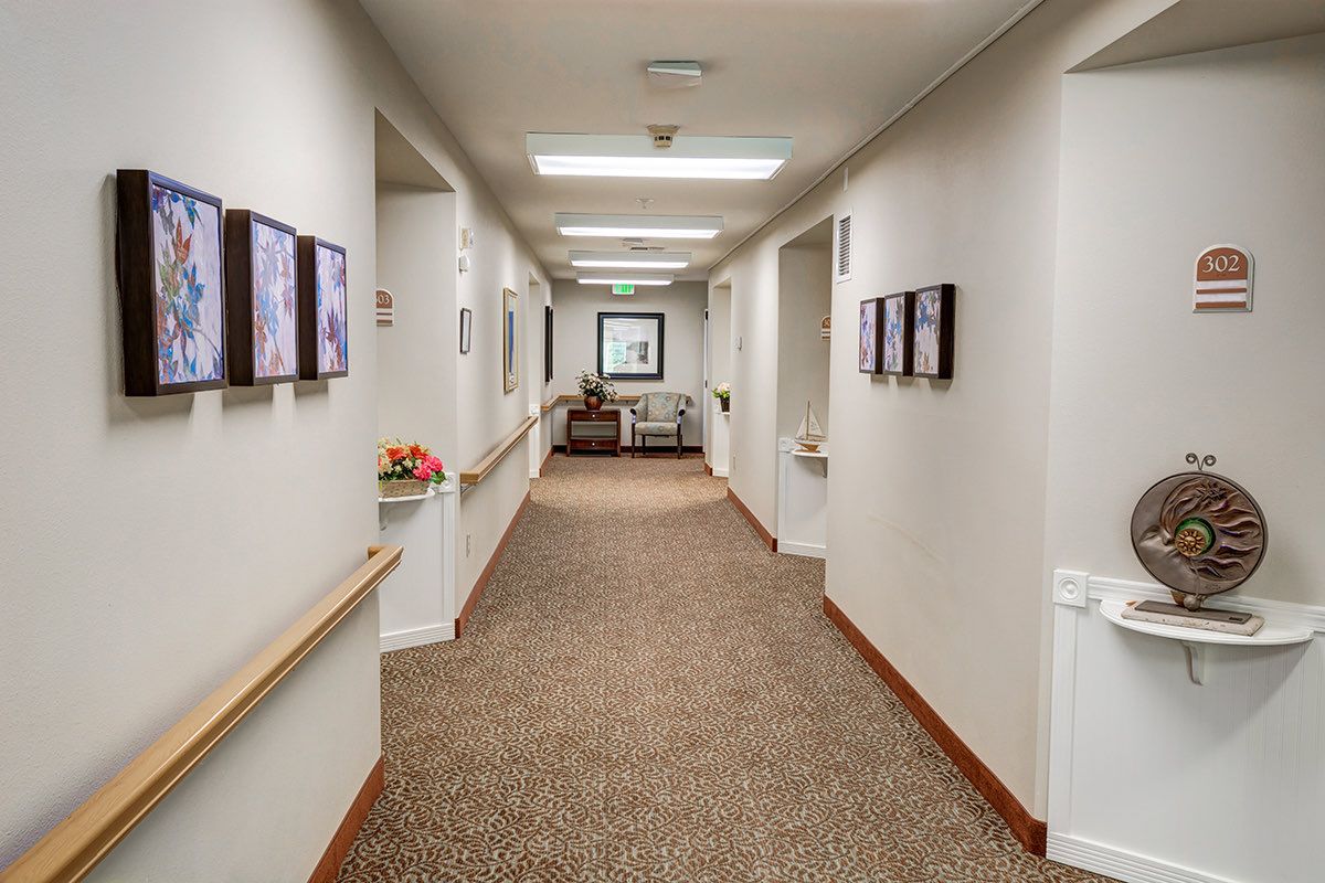A well-lit corridor with carpet flooring and decorative paintings on the walls.