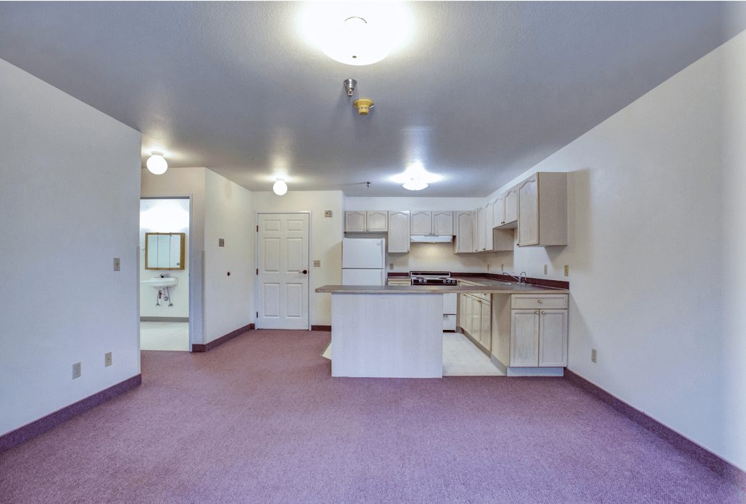 An open-concept kitchen and living area with white cabinets and a carpeted floor.