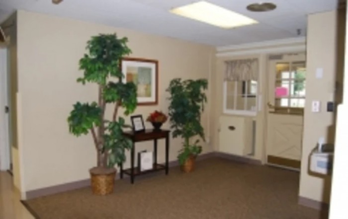 An office waiting area with potted plants and a small table displaying decorative items.
