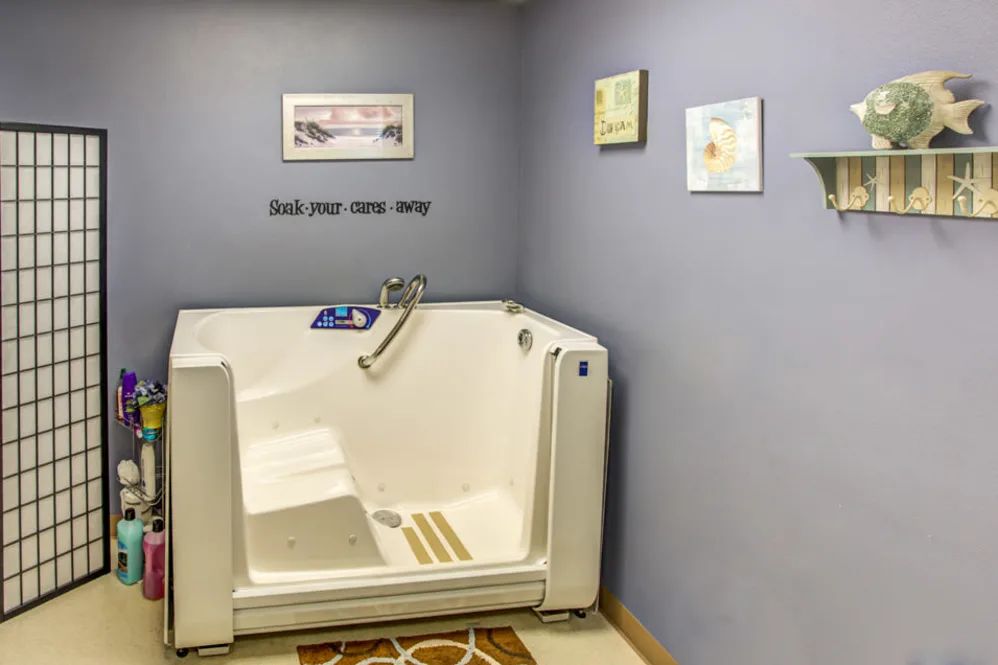 A bathroom featuring an accessible walk-in bathtub with safety rails and decorative wall art.
