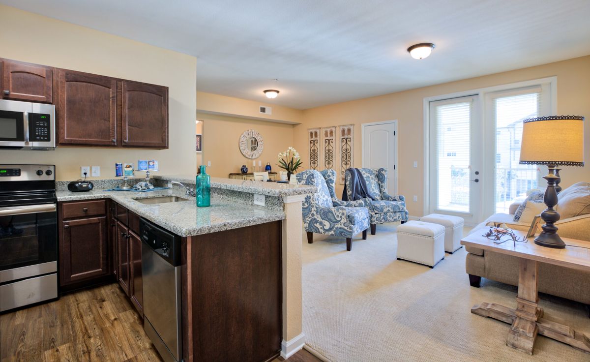 A modern open-concept living space featuring a cozy kitchen and stylishly furnished living room.
