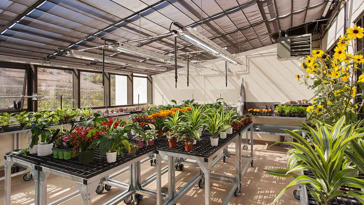 A well-organized greenhouse with various potted plants displayed on tables.