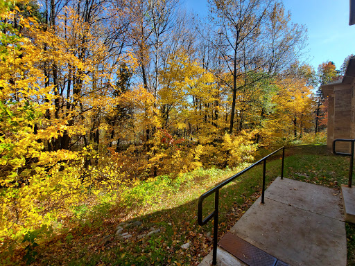 A beautiful autumn scene showcasing vibrant yellow foliage against a clear blue sky.