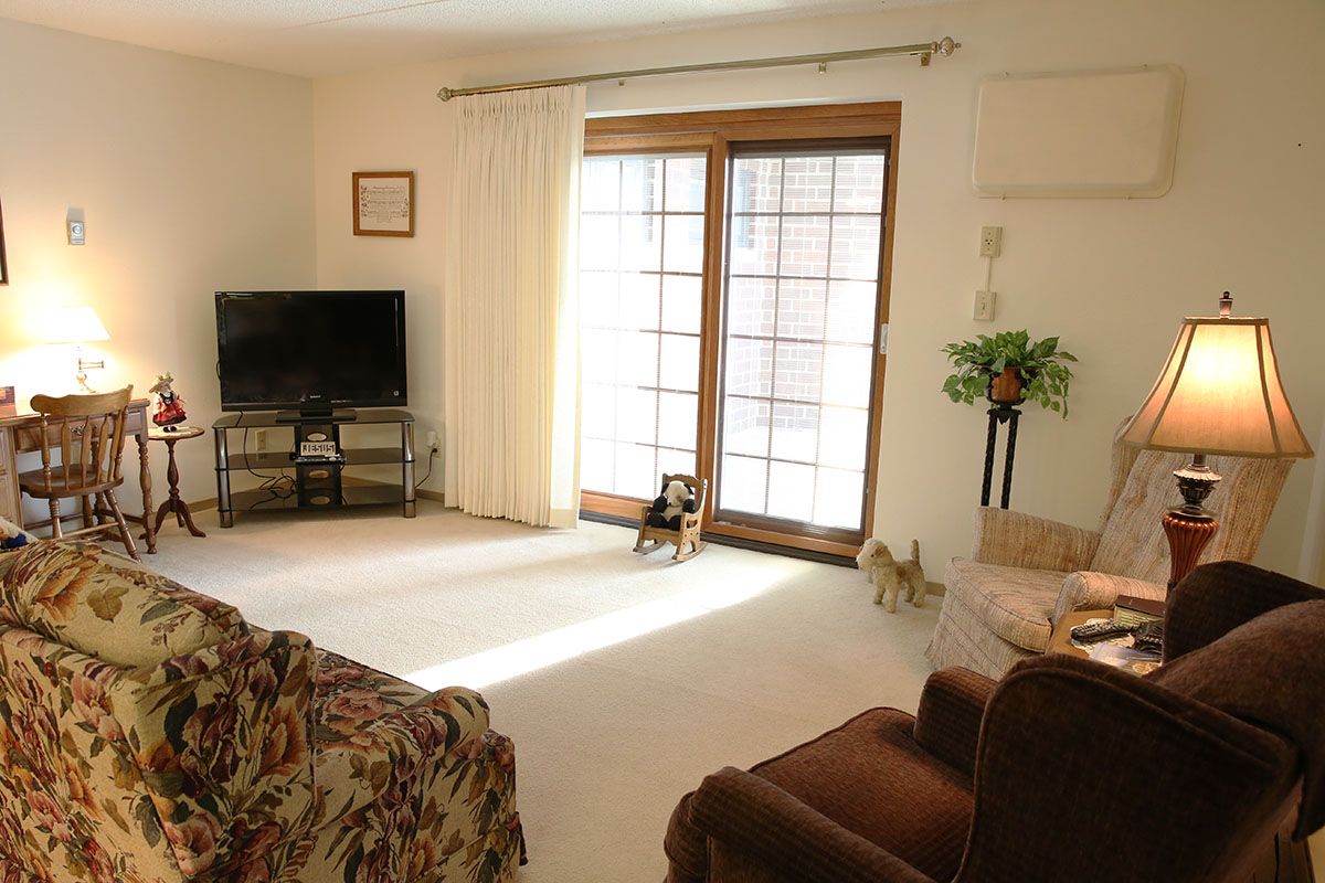 A cozy living room with a TV, furniture, and a dog basking in sunlight near the window.