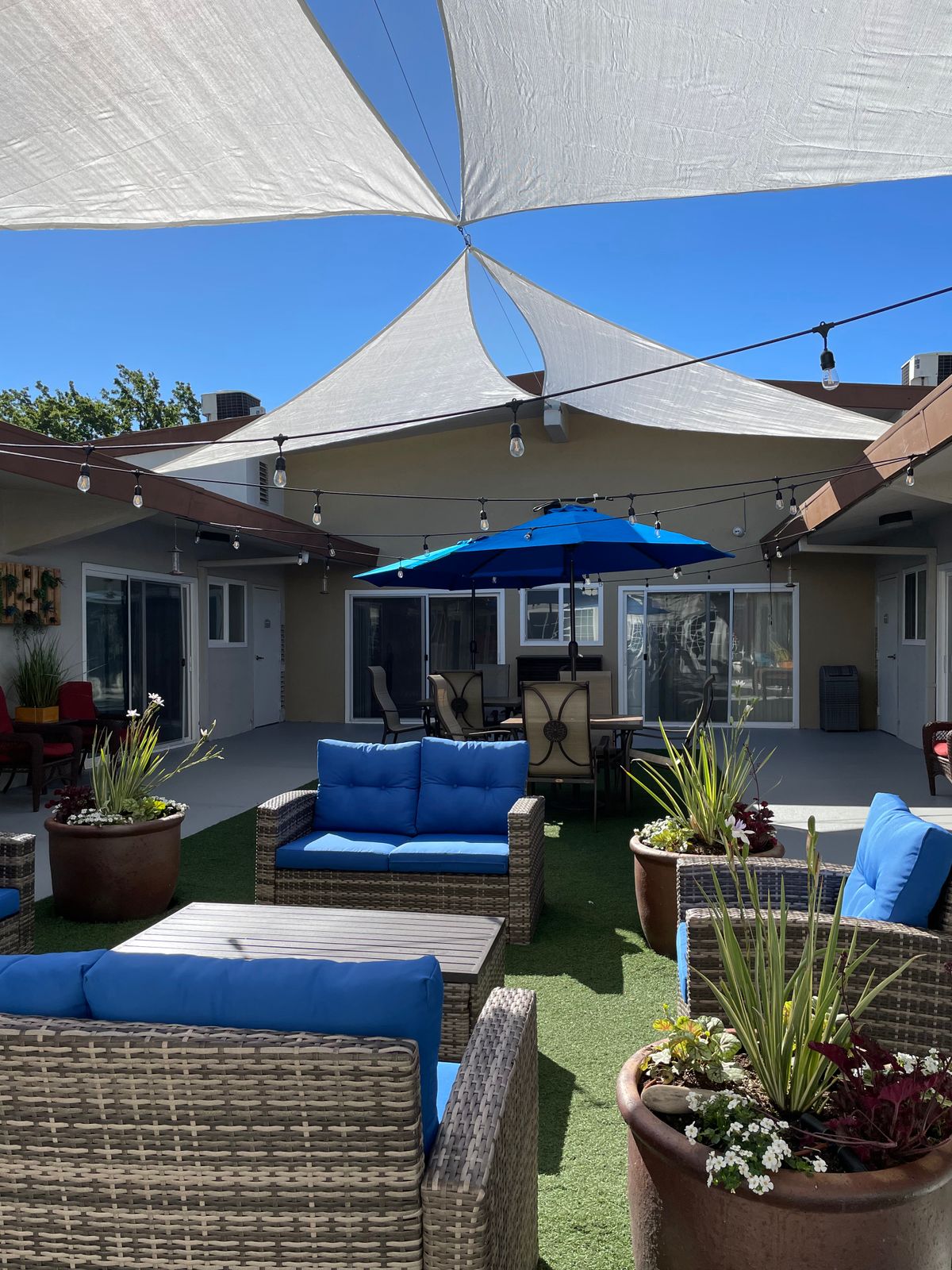 A sunny backyard patio with comfortable seating and shade sails.