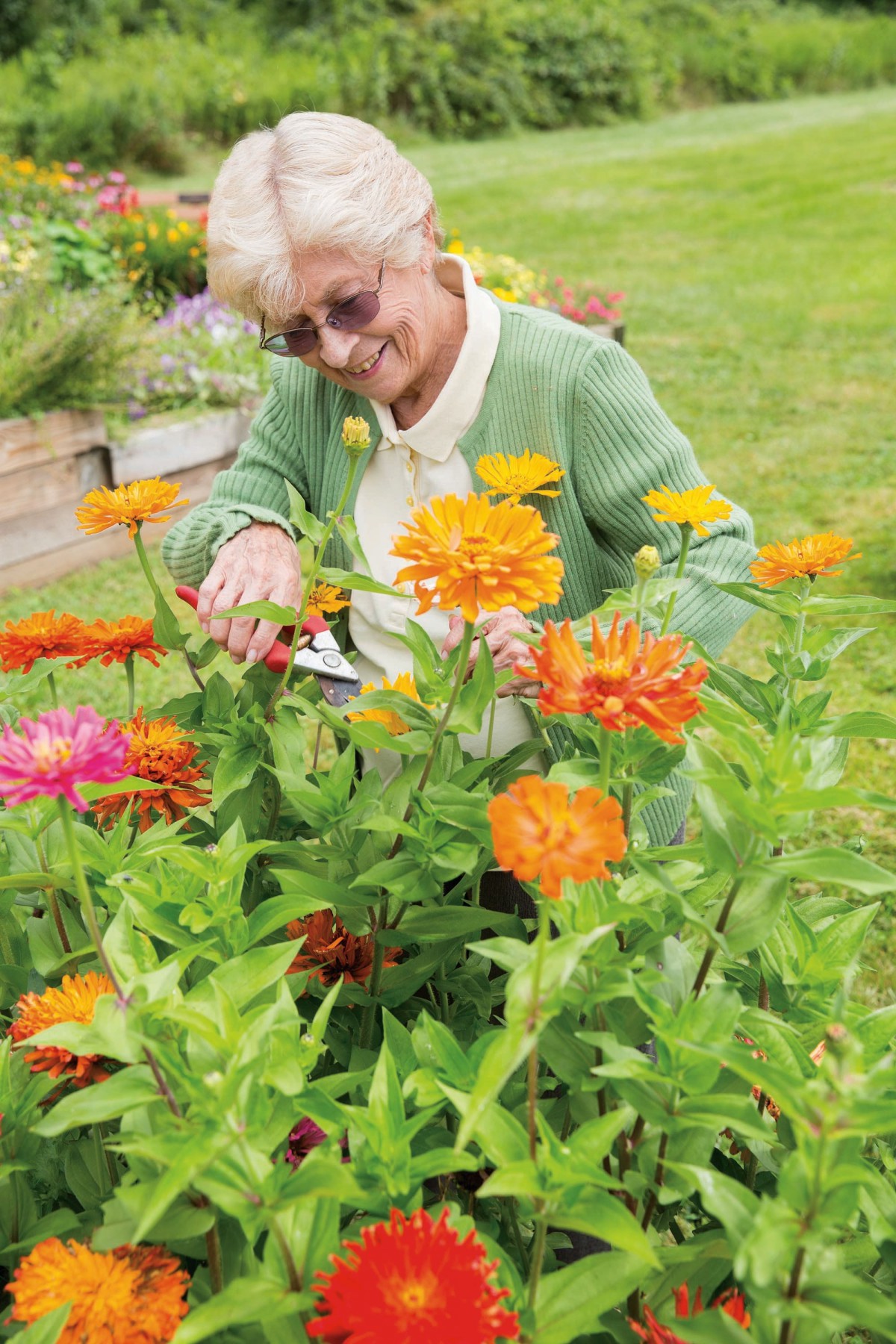 An elderly woman enjoying gardening among colorful flowers on a sunny day.