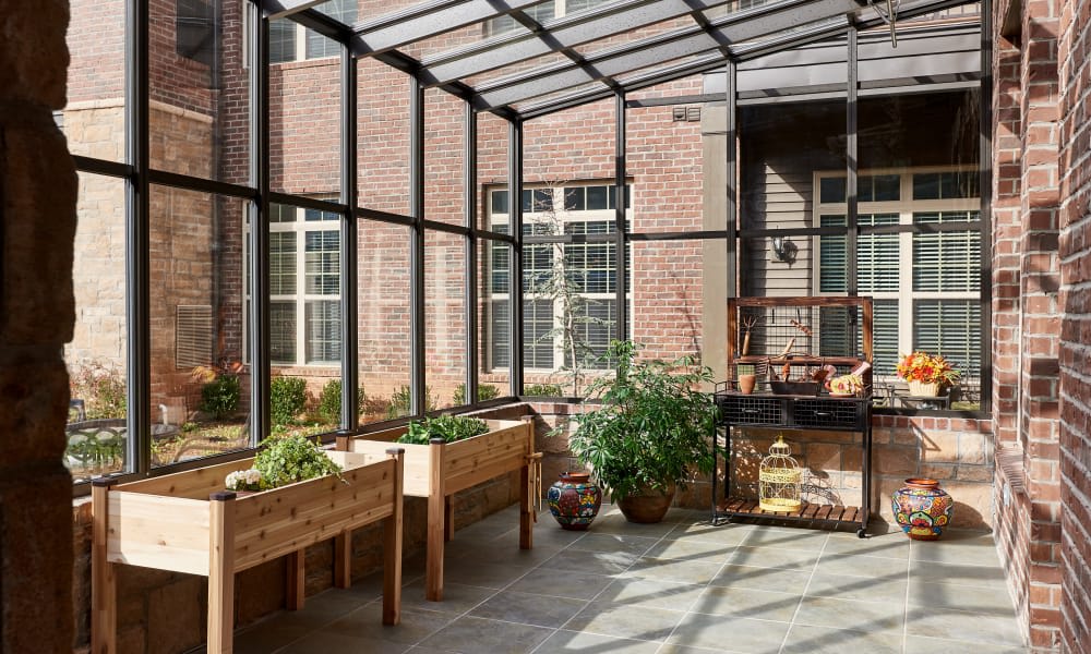 A spacious greenhouse with wooden planters, filled with lush green plants, basking in sunlight.
